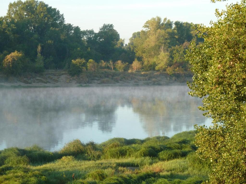 Le Vieux Vauvert Panzió Rochecorbon Kültér fotó
